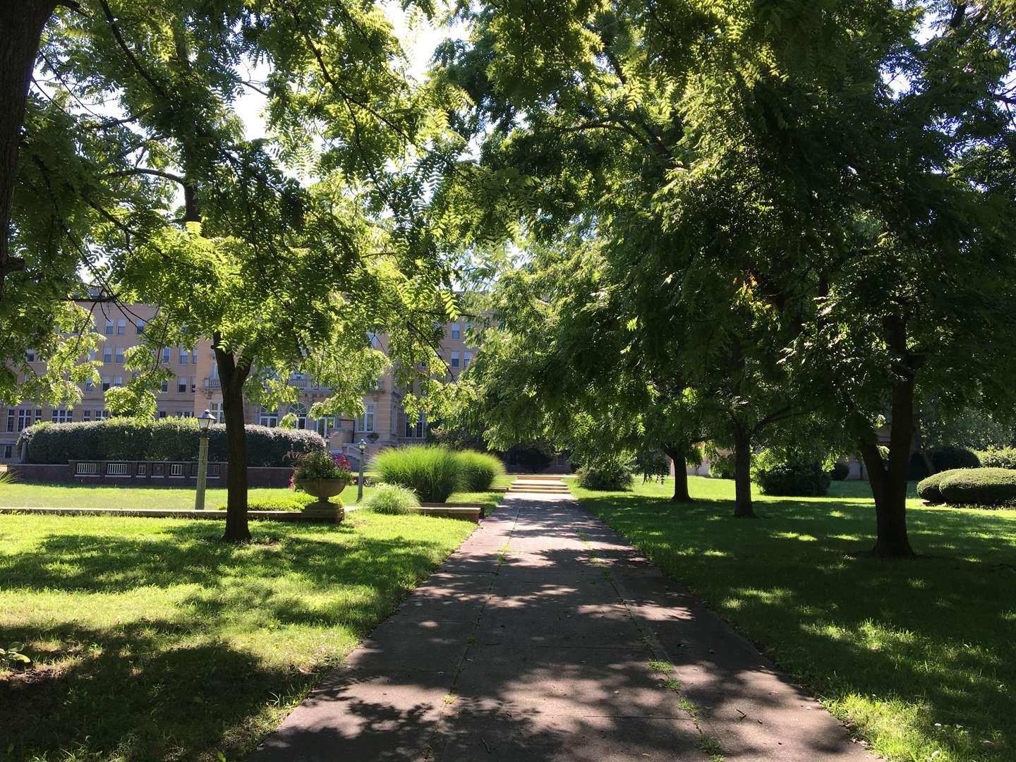 sidewalk leading to Le Fer Hall